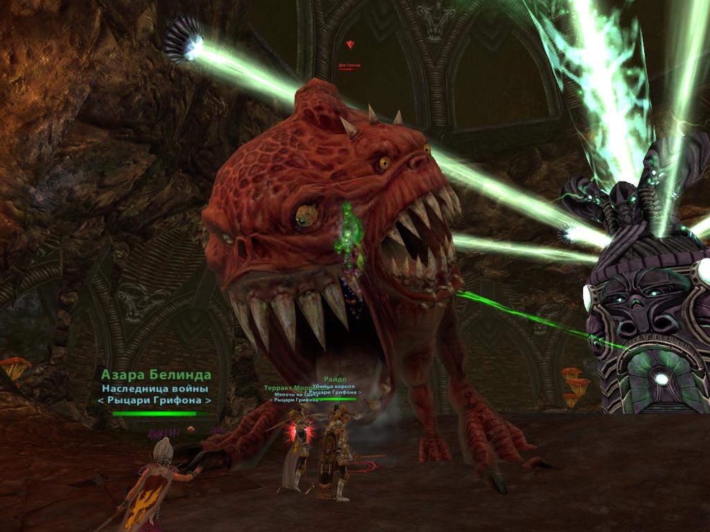 feeding Squigs